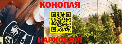 гашик Заводоуковск